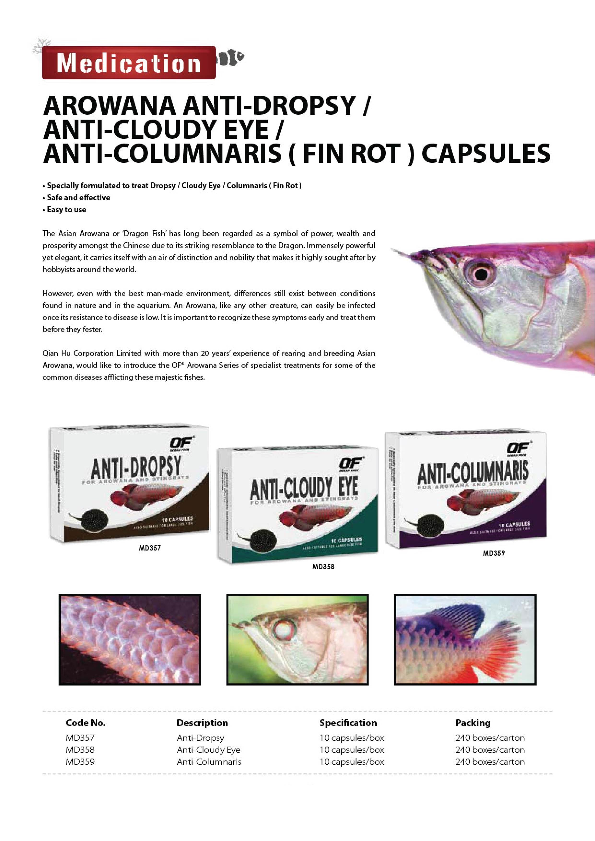 QH Catalogue 2024-3-1-13.jpg